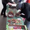 Lidka » Adventní trhy 2017